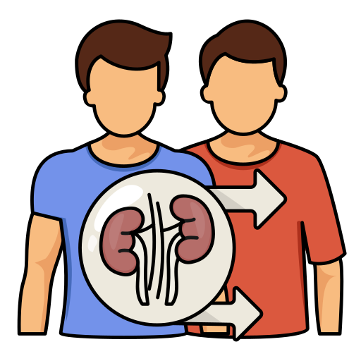 Kidney Transplant Icon